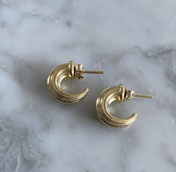 Small Chunky Horn Hoop